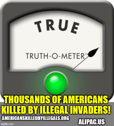 Americans Killed by Illegals
